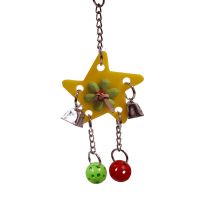 Star Of Wonder Parrot Toy